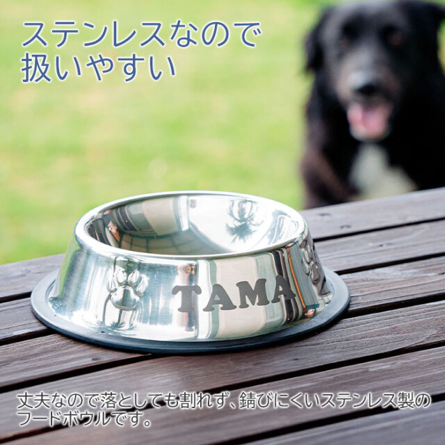 ステンレスなので扱いやすい