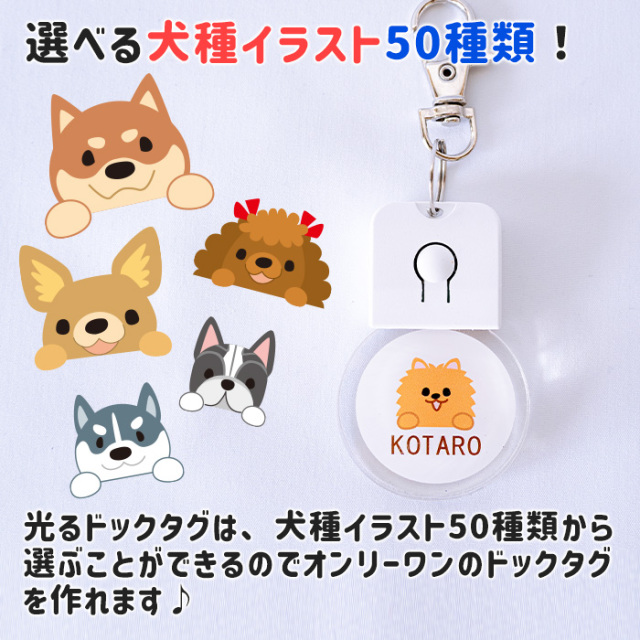 愛犬や愛猫のためにオーダーメイド光るドックタグ｜名入れプレゼントKARIN
