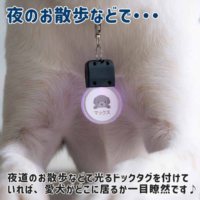 愛犬や愛猫のためにオーダーメイド光るドックタグ｜名入れプレゼントKARIN