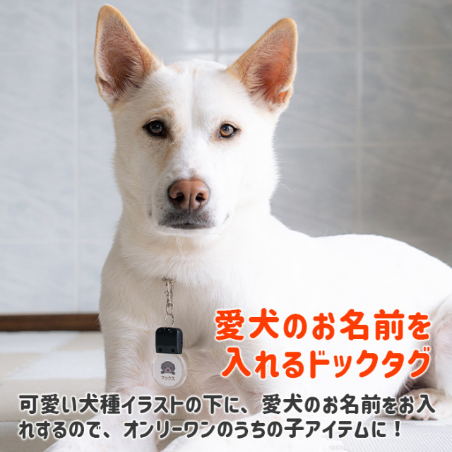 愛犬のお名前を入れるドックタグ