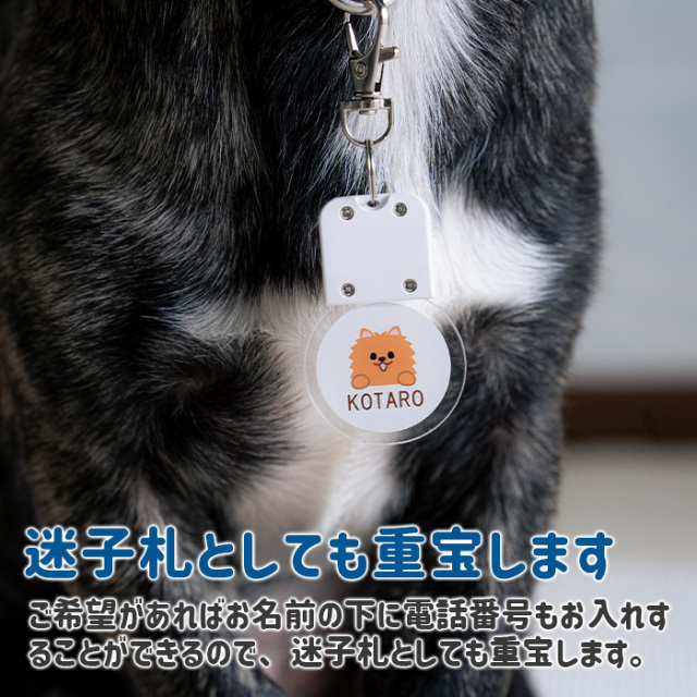 迷子札としても重宝します