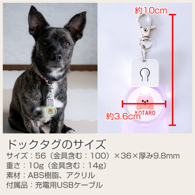 愛犬や愛猫のためにオーダーメイド光るドックタグ｜名入れプレゼントKARIN