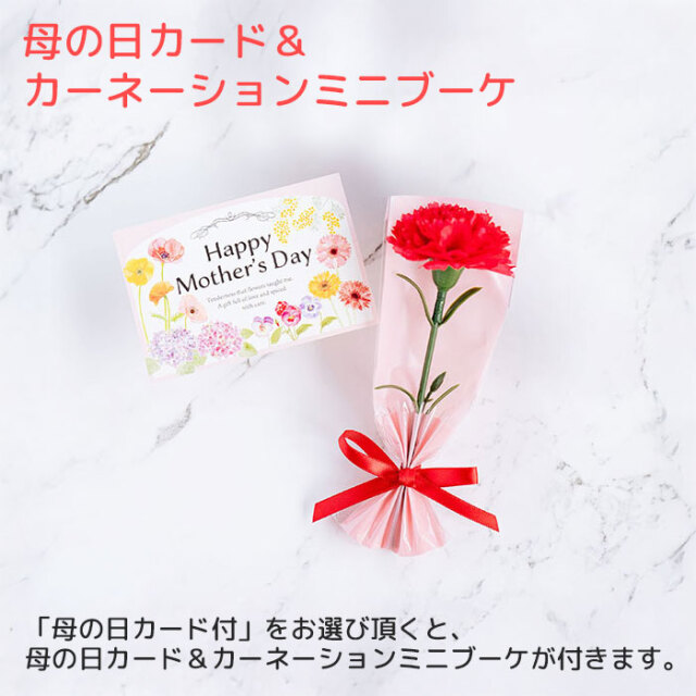母の日カード＆カーネーションミニブーケ付き