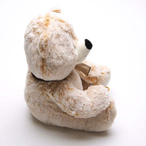 名入れ刺繍タオル なでしこ　ポケットタオル ＆ くまのマックスを誕生日や結婚祝いに