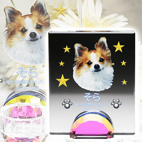 メモリアルクリスタル　オブロング　PHOT用