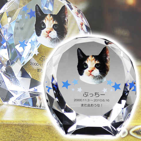 メモリアルクリスタル　シェル　PHOT用