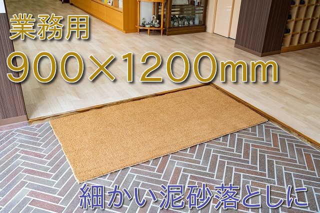 細かい泥砂落としにカルナマット