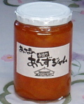 美味しいジャム信州特産あんずジャム　お徳用大瓶