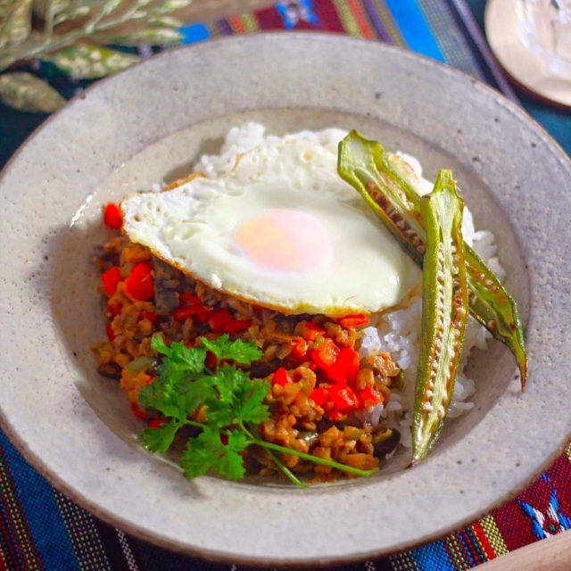 クイックソイ　バラ肉タイプ 80g Quick SOY