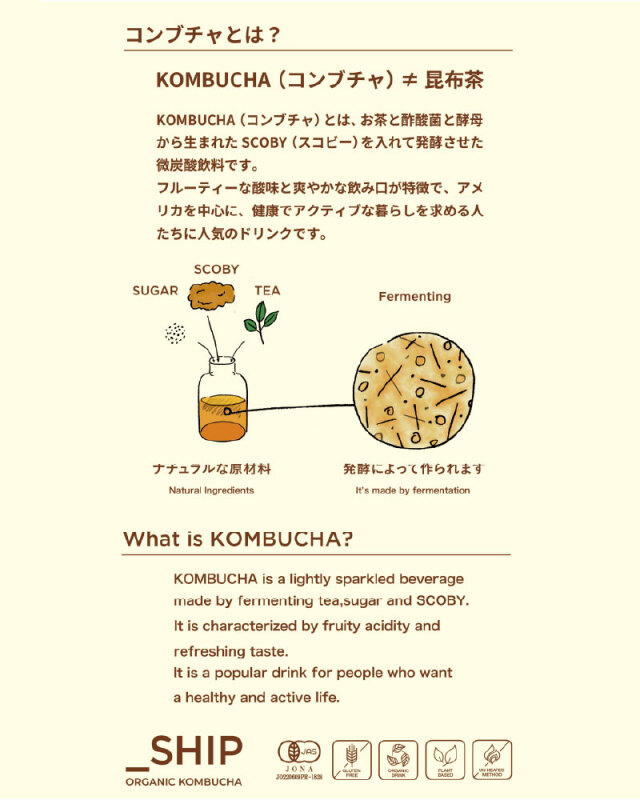 SHIP KOMBUCHA