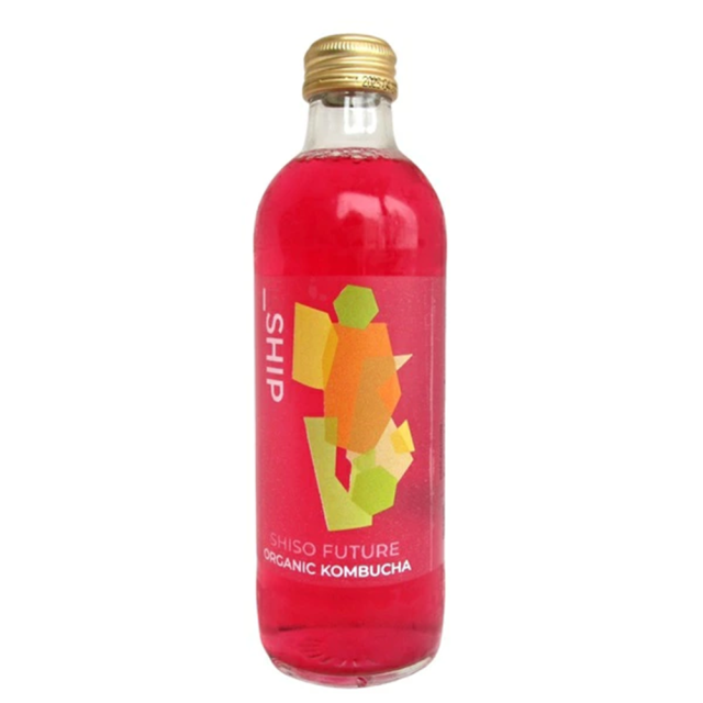 SHIP KOMBUCHA SISO