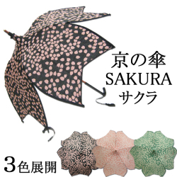 日傘　サクラ