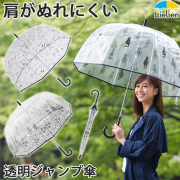 ビニール傘