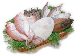 送料無料！春の干物セット