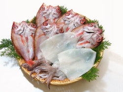 のどぐろ、白いか干物一夜干しセット