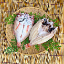 のどぐろ一夜干し2尾