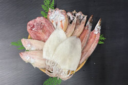 父の日高級一夜干セット