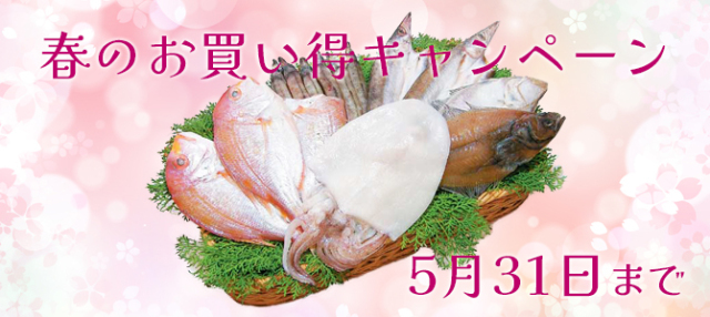 春のお買い得キャンペーン