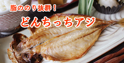 どんちっちアジの開き　脂ののり抜群の浜田のアジ一夜干し