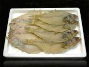 即日発送可能-カレイ干物セット