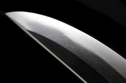 【脇差】　河内守藤原國助（初代）