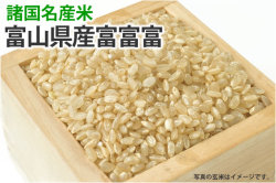 富山県産富富富