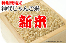 新米神代じゃんご米