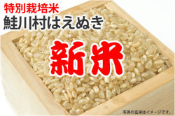 新米・鮭川村はえぬき