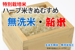 新米無洗米ハーブ米きぬむすめ