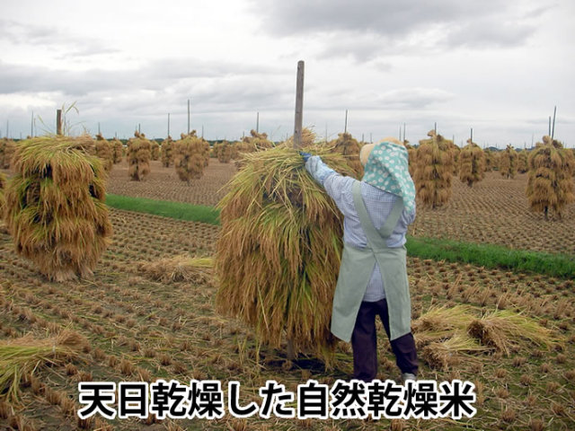 自然乾燥米