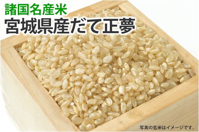 たまさん専用　玄米① Amazon | 【Amazon限定／かんたん酵素玄米＆酵素玄米炊飯器