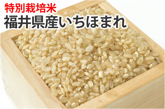特別栽培米・福井県産いちほまれ