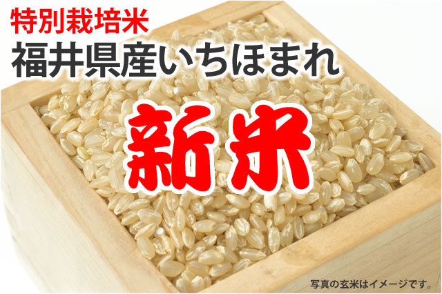 令和7年産新米・特別栽培米・福井県産いちほまれ