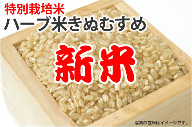 令和7年産新米・特別栽培米・石見高原ハーブ米きぬむすめ