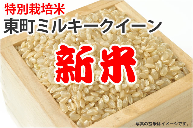 新米 令和6年 産 ミルキークイーン 玄米30キロ 淡路島 浅けれ 小分け可 