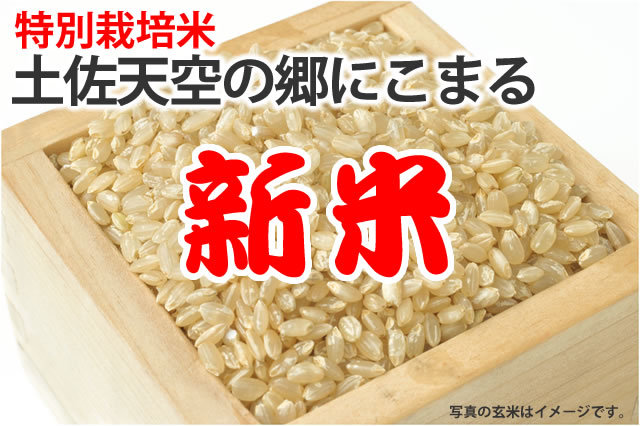 令和7年産新米・土佐天空の郷にこまる | お米の通販 片山米店