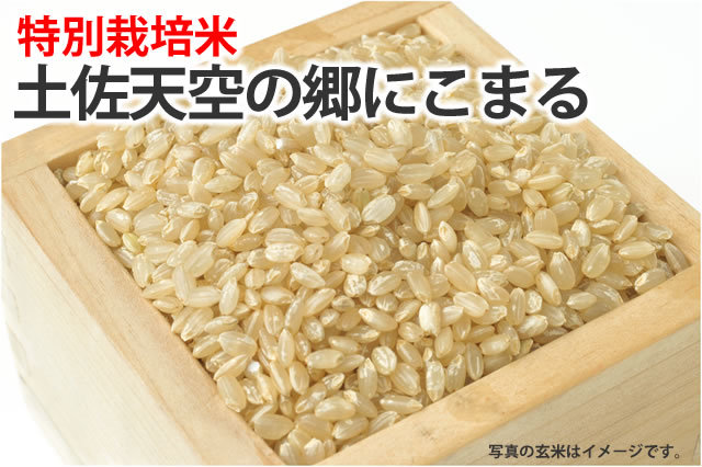 土佐天空の郷にこまる | お米の通販 片山米店