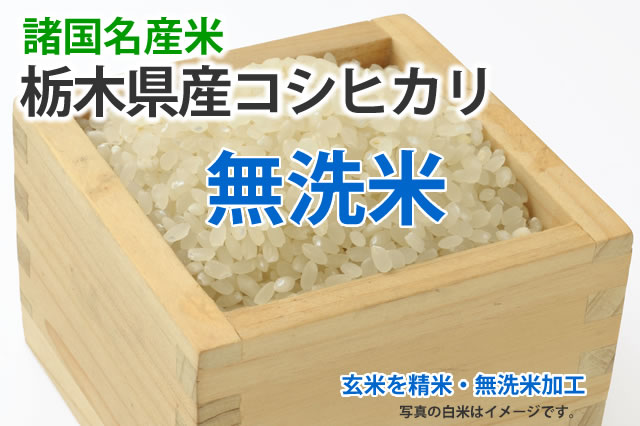 無洗米・コシヒカリ