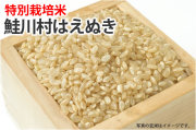 特別栽培米鮭川村はえぬき