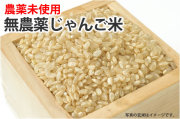 無農薬じゃんご米