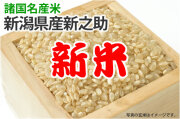 新米・新之助