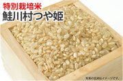 特別栽培米鮭川村産つや姫