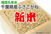 新米・ふさこがね