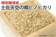 土佐天空の郷ヒノヒカリ