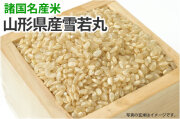 山形県産雪若丸