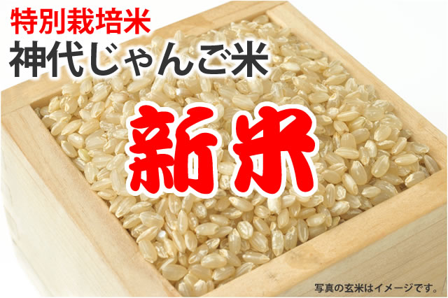 新米神代じゃんご米