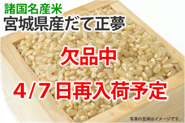 だて正夢再入荷