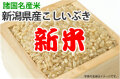 新米・新潟県産こしいぶき