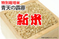 新米・特別栽培米青天の霹靂