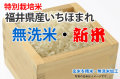 無洗米・いちほまれ
